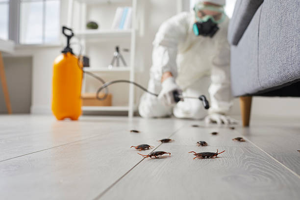 Commercial Kitchen Cockroach Control in Tulsa